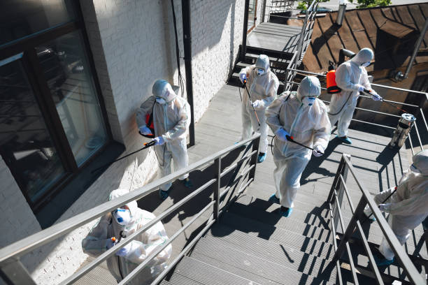 Best Commercial Mold Inspection  in Mendota Heights, MN