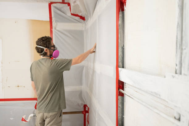 Best Water Damage & Mold Remediation  in Mendota Heights, MN
