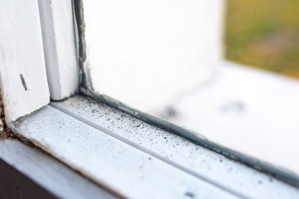 Best Airborne Mold Testing  in Mendota Heights, MN