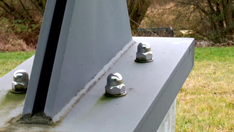 Best Attic Mold Removal  in Mendota Heights, MN